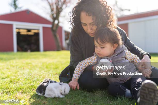 mom and toddler daughter playing with pet baby bunnies outside - family rabbit stock pictures, royalty-free photos & images