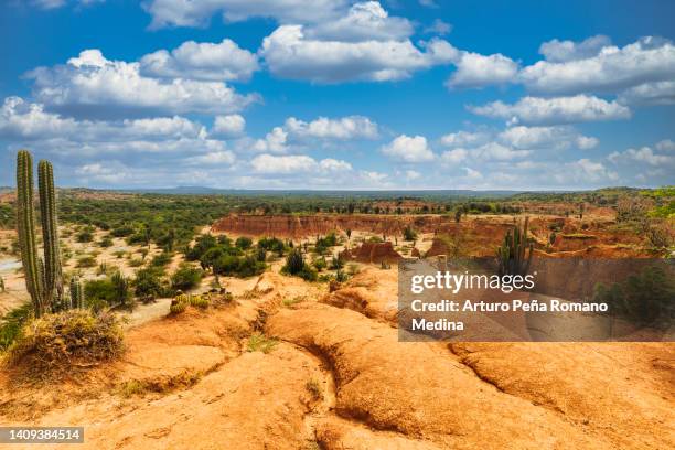 the tatacoa desert is an arid zone in colombia - arid stock pictures, royalty-free photos & images