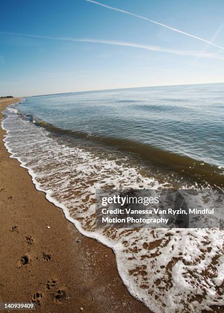 beach curve - vanessa van ryzin - fotografias e filmes do acervo