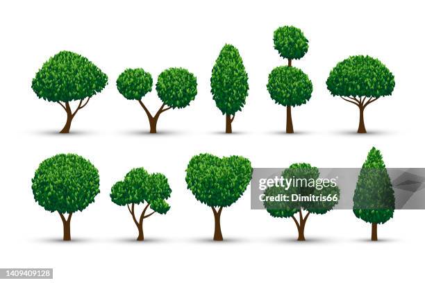 stockillustraties, clipart, cartoons en iconen met realistic stylised trees set. - buxus