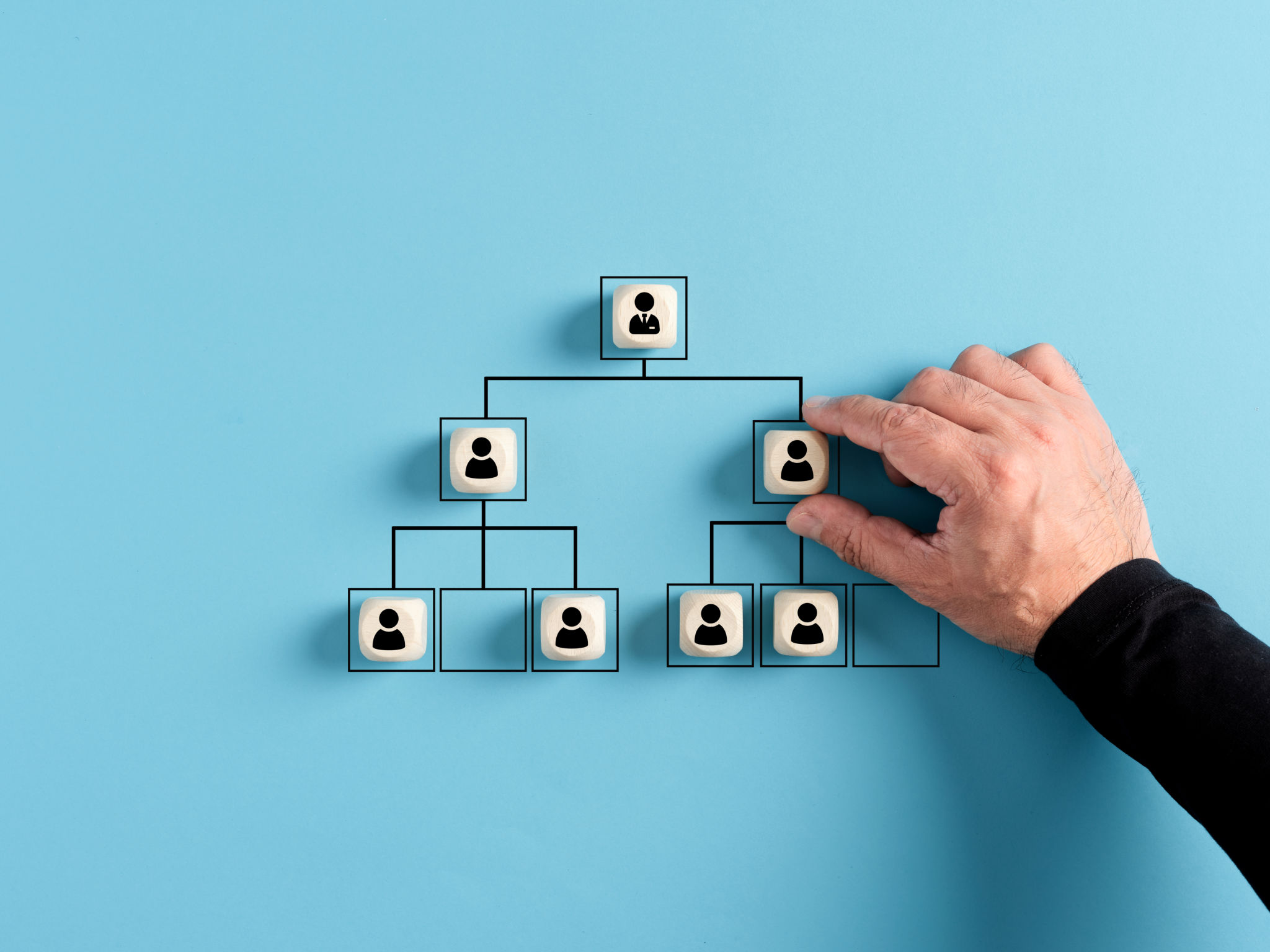 business structure chart