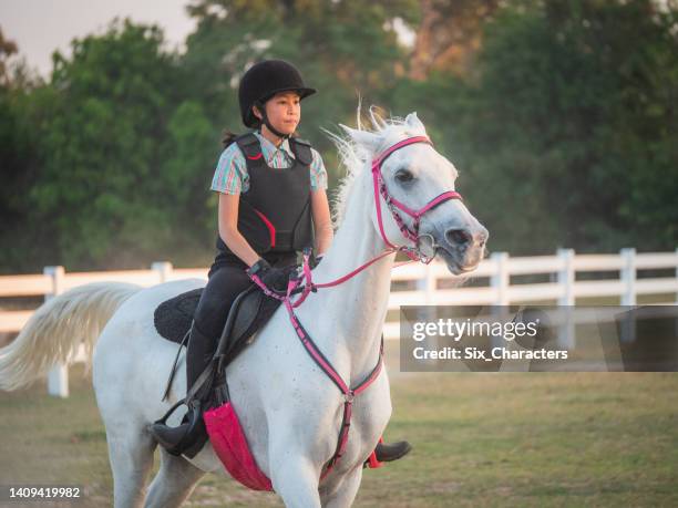 young asian girl enjoy riding horse in the farm, girl horseback riding training at the ranch - recreational horse riding stock pictures, royalty-free photos & images