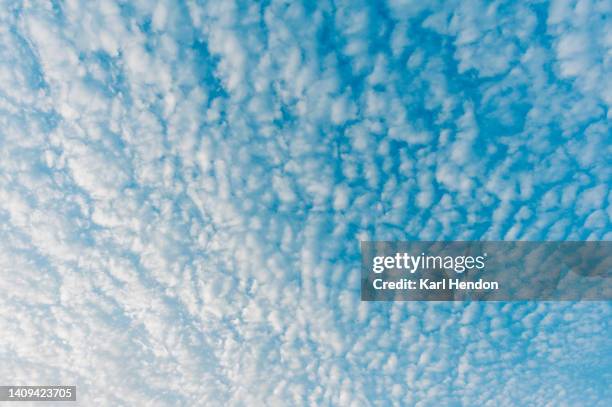 a daytime view of clouds and a blue sky - 巻積雲 ストックフォトと画像