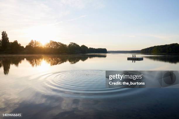 lake and circular pattern on water surface at sunrise in summer - idyllic lake stock-fotos und bilder