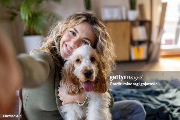 young caucasian woman taking selfie with her cocker spaniel dog - cocker spaniel bildbanksfoton och bilder