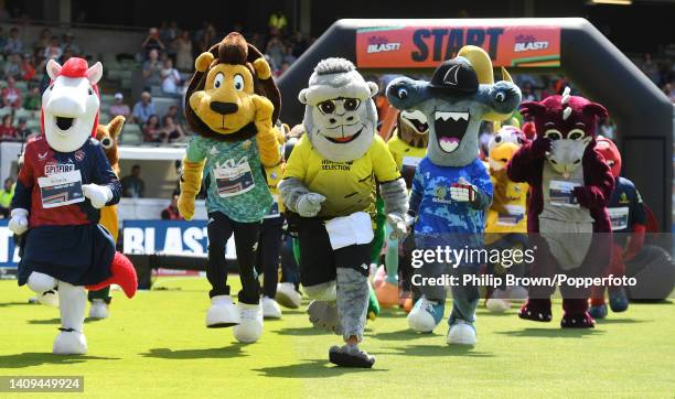 Tower Racing Mascot Mascot Races Photos and Premium High Res Pictures - Getty Images