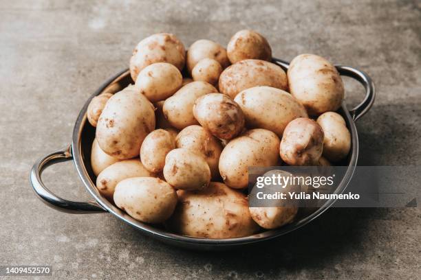 young farm potatoes. raw potato on a table. - nieuwe aardappel stockfoto's en -beelden