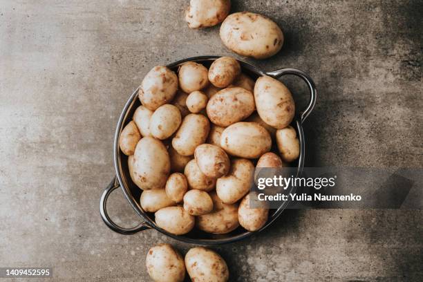 young farm potatoes. raw potato on a table. - kartoffel wurzelgemüse stock-fotos und bilder