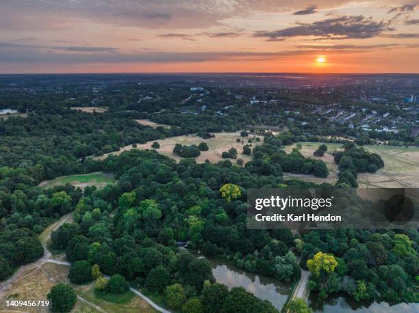 an elevated view hampstead heath at sunrise - hampstead heath - fotografias e filmes do acervo