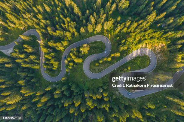 aerial view of a road winding through a dense green forest in dolomites national park - serpentinen stock-fotos und bilder