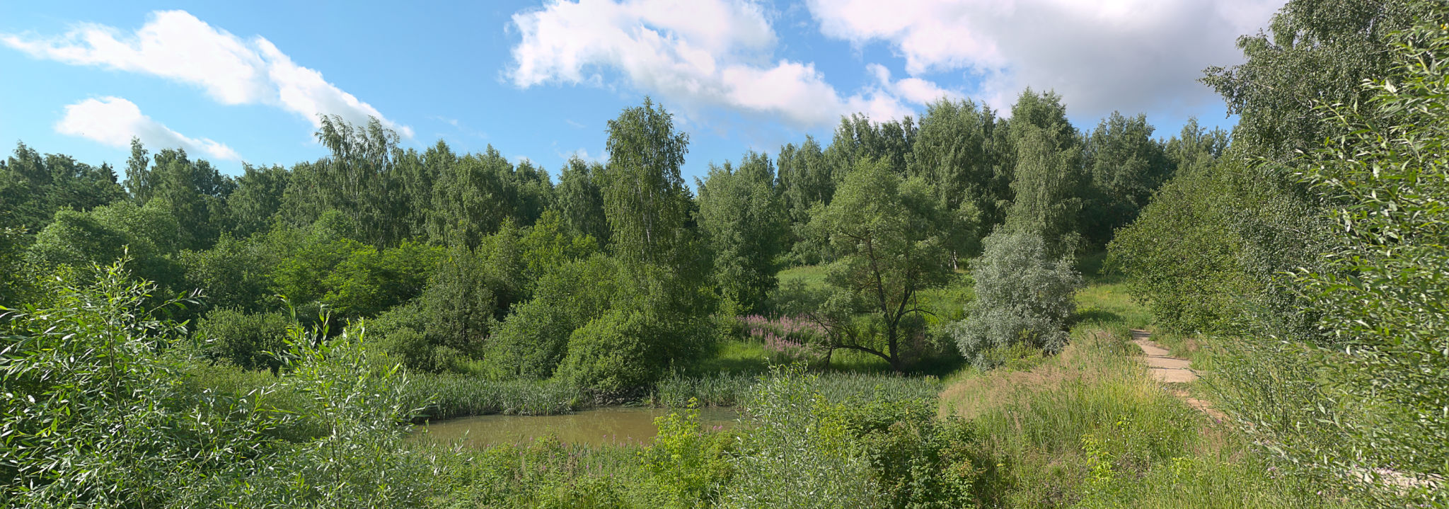 natur aktivitäten