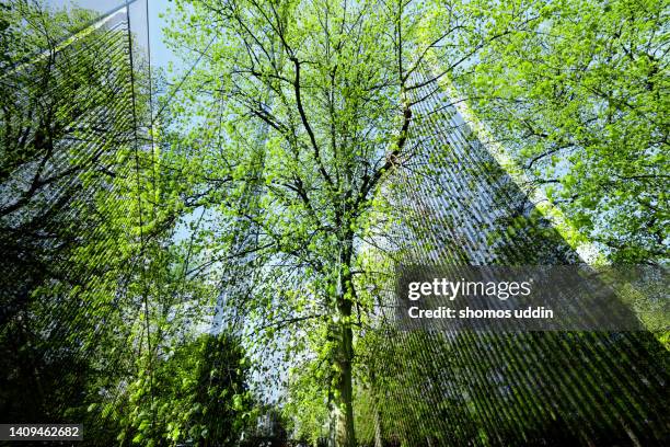 composite of trees and modern commercial buildings in london city - relazione simbiotica foto e immagini stock