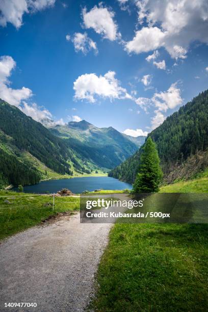 scenic view of road amidst trees against sky,riesachsee,schladming,austria - styria stock-fotos und bilder