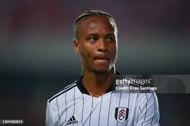 Bobby Reid of Fulham looks on during the Trofeu do Algarve match between Fulham and SL Benfica at Estadio Algarve on July 17, 2022 in Faro, Portugal.