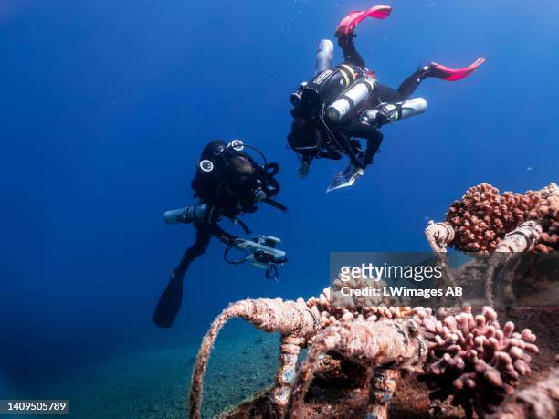 Alex Chequer, research specialist and technical diver from the Central Caribbean Marine Institute and Dr Gretchen Goodbody-Gringley, the Director of...
