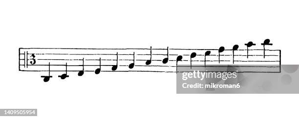 old engraved illustration of types of musical notes - note de musique photos et images de collection