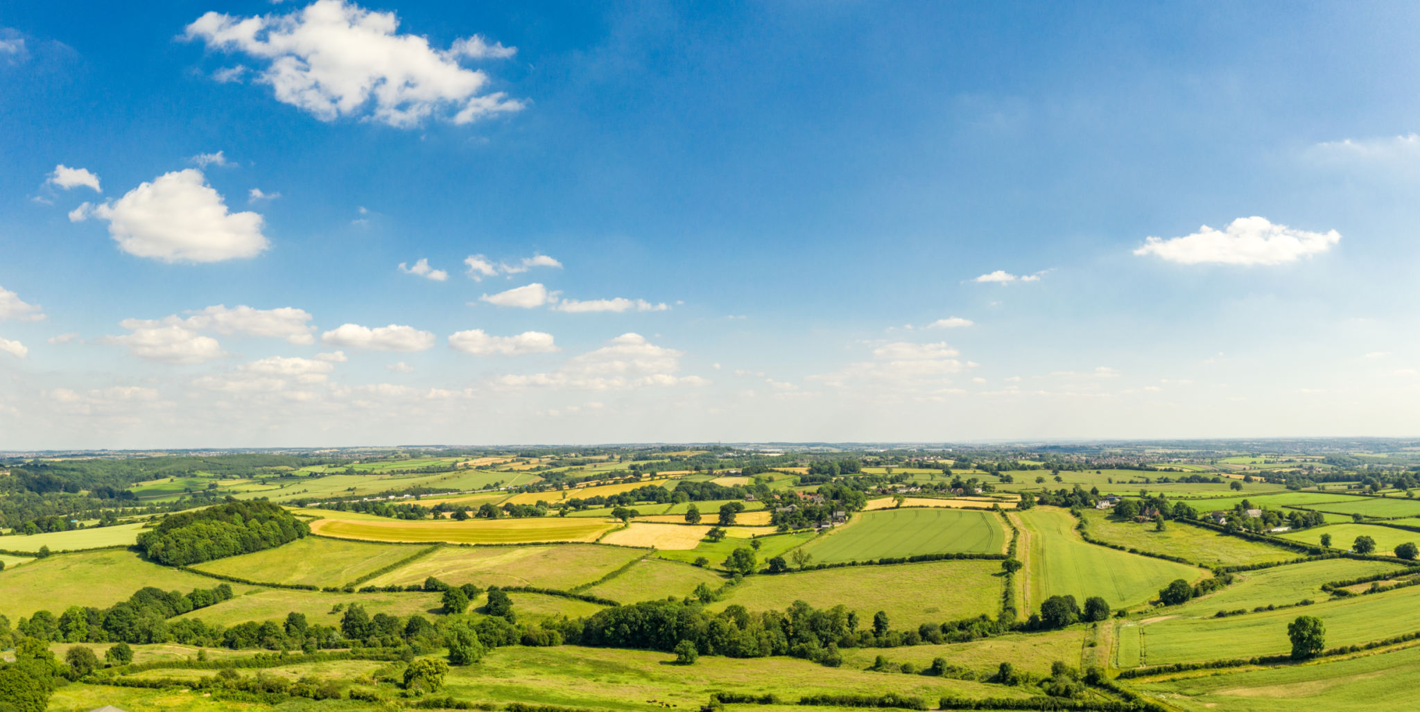 local hr landscape