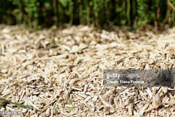 mulching hemp soil for flax agricultural fields - mulch stock pictures, royalty-free photos & images