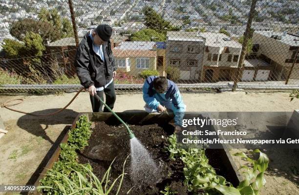 Frni Beyer, cq, right, and his father-in-law, Louie Fong, left, water their garden plot at Corona Heights Park on Monday, June 16 just up above...