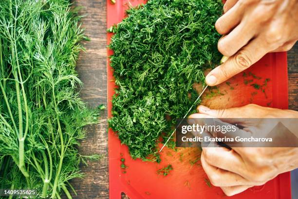 a woman cuts dill. close-up - dill stock pictures, royalty-free photos & images