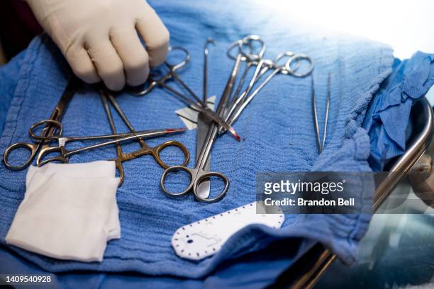Veterinarian reaches for tools during surgery on a dog at the Harris County Pets animal shelter on July 18, 2022 in Houston, Texas. The shelter has...