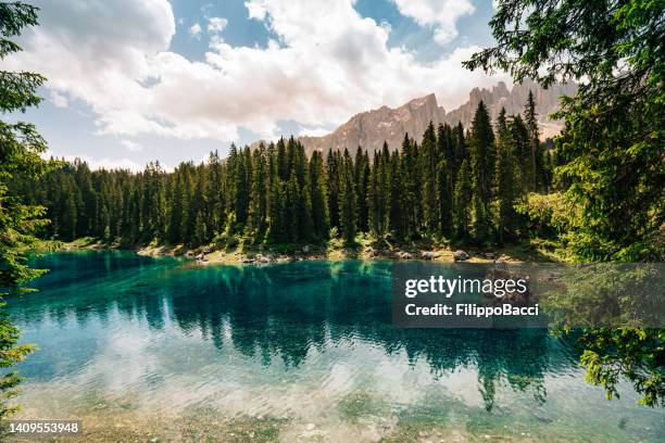 lago carezza en dolomitas - karersee, trentino-alto adige, italia - lago de carezza fotografías e imágenes de stock