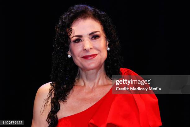 Lourdes Mungía attends a Press Conference to present the play "Busco al hombre de mi vida, marido ya tuve" at Teatro Xola on July 18, 2022 in Mexico...