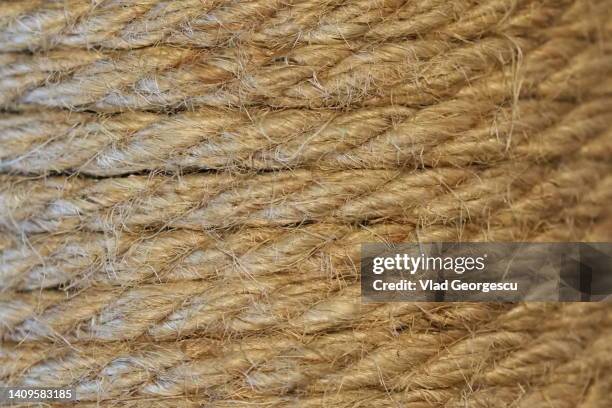 tie your own rope - jute stock pictures, royalty-free photos & images