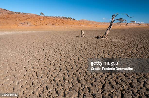 lepredour island 4 - drought stock pictures, royalty-free photos & images