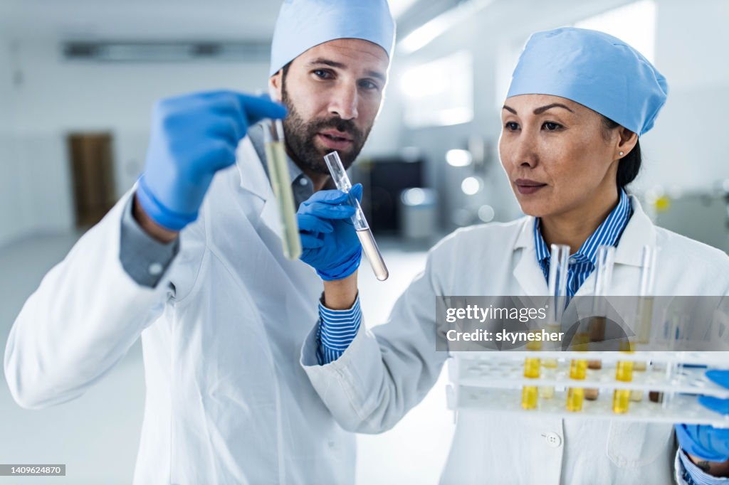 Chemists cooperating while analyzing liquid in tubes at laboratory.