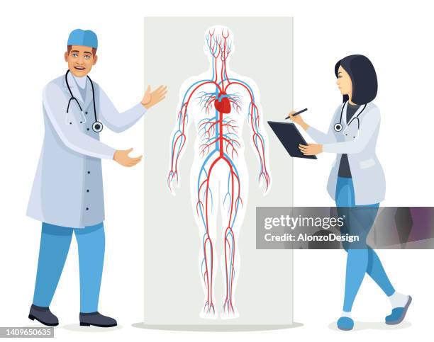 doctor speaking about circulatory system. diagram of human circulatory system. - physiology stock illustrations