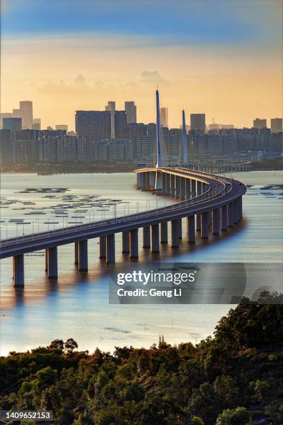 shenzhen bay bridge at sunset with oyster fields in deep bay - shenzhen stock pictures, royalty-free photos & images