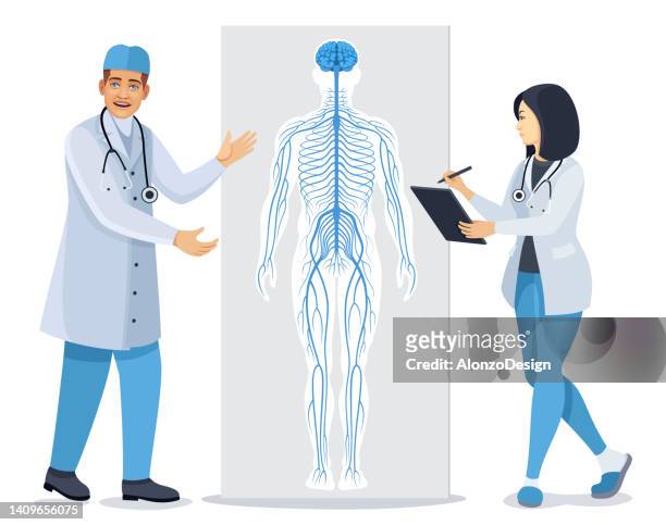 arzt, der über das nervensystem spricht. diagramm des menschlichen nervensystems. - body stock-grafiken, -clipart, -cartoons und -symbole