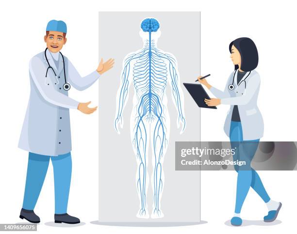 stockillustraties, clipart, cartoons en iconen met doctor speaking about nervous system. diagram of human nervous system. - neuropathy