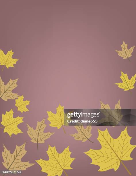 fall leaves border background template - fall leaves border stock illustrations