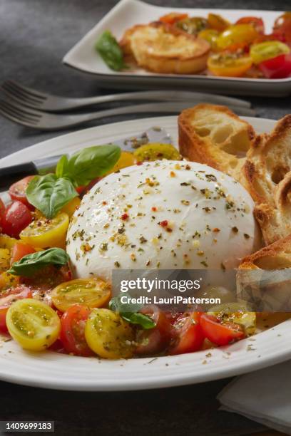 burrata antipasti-platte mit gerösteten traubentomaten - büffelmozzarella stock-fotos und bilder