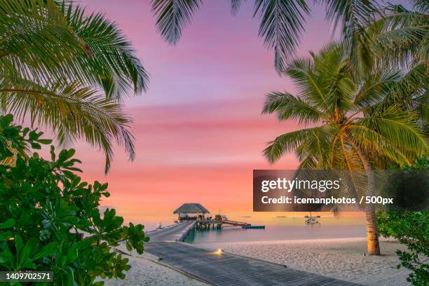 scenic view of sea against sky during sunset,alifu dhaalu atoll,maldives - jetty stock pictures, royalty-free photos & images