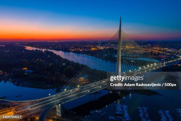 modern bridge with one pylon - ada bridge in belgrade in twilight,serbia,beograd - belgrade serbia 個照片及圖片檔