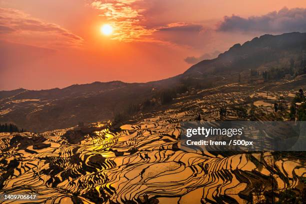 the terraced fields,china - 中国 stock pictures, royalty-free photos & images