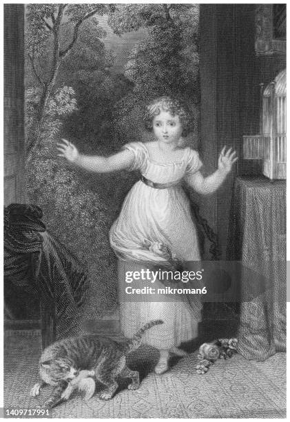 old engraved illustration of the terrified girl watches as the cat eats her bird - fancy cat stock pictures, royalty-free photos & images