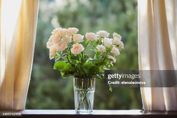 roses in glass vase - bud vase stock pictures, royalty-free photos & images