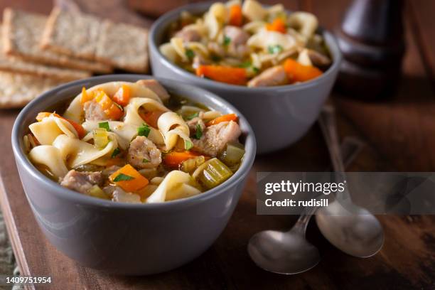 sopa de pollo con fideos - sopa de pollo con fideos fotografías e imágenes de stock