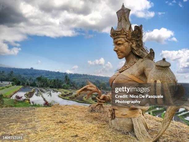 rice and fertility goddess (dewi sri) statue at jatiluwih rice terrace in bali - jatiluwih rice terraces stock pictures, royalty-free photos & images