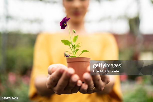 woman hands holding a potted plant at a garden center - hands holding flower pot stock pictures, royalty-free photos & images