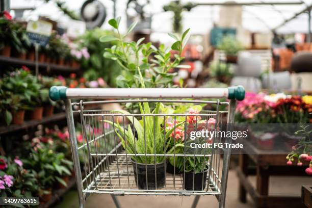 shopping cart with plants at a garden center - tuincentrum stockfoto's en -beelden