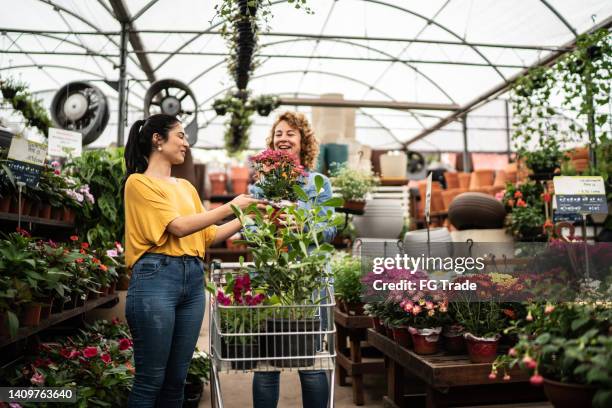 friends buying plants at a garden center - flower stall stock pictures, royalty-free photos & images