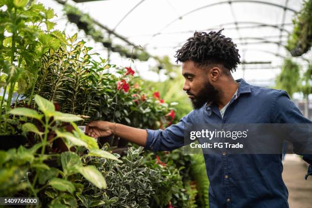 customer buying plants at a garden center - tuincentrum stockfoto's en -beelden