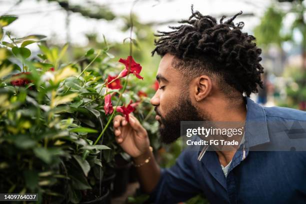 young man smelling flowers at a garden center - smelling stock pictures, royalty-free photos & images