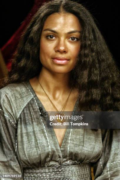 March 27: MANDATORY CREDIT Bill Tompkins/Getty Images Amel Larrieux March 27, 2006 in New York City.