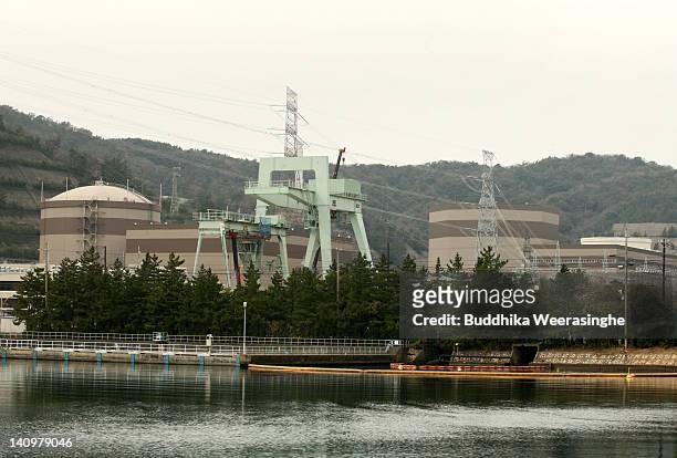 General view of Tsuruga Power Station which is run by Japan Atomic Power Company, on March 8, 2012 in Tsuruga, Japan. Only two of Japan's 54 nuclear...
